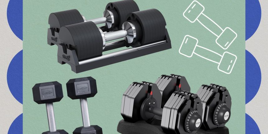 the-best-dumbbells-to-level-up-your-lifting-routine